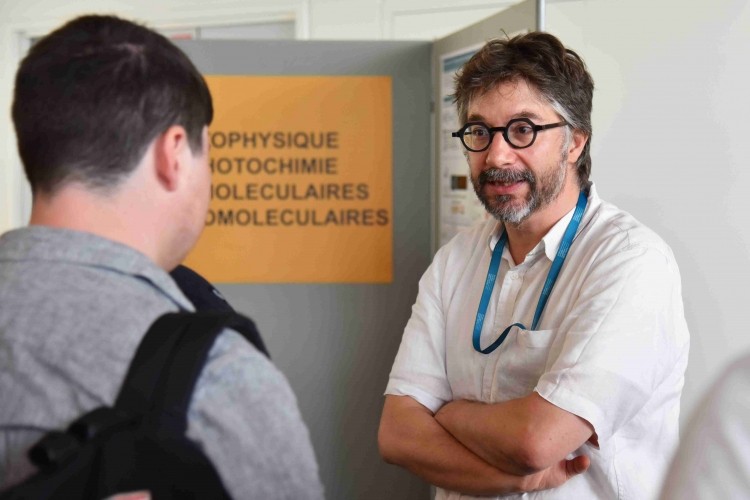 Agrandir l’image
